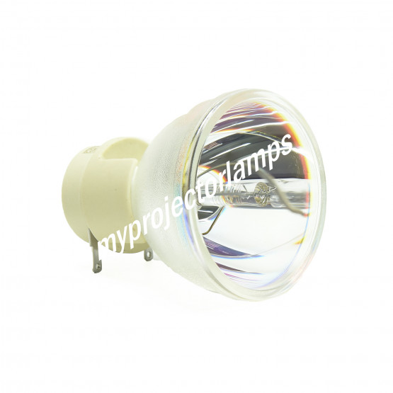 Benq 5J.JFY05.001 Bare Projector Lamp