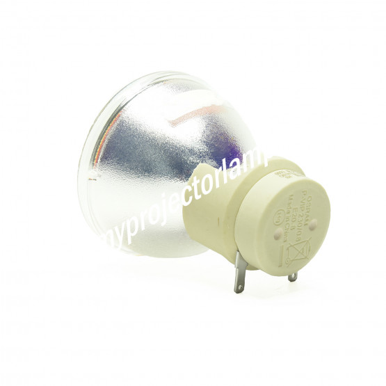 Lampenmodul & nackte Lampe für BENQ W1070