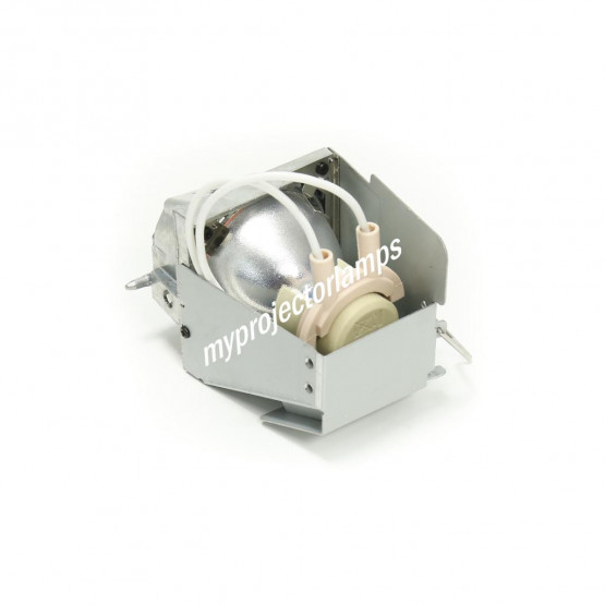 Acer B102H Projector Lamp with Module