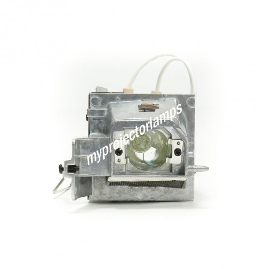 Acer B102H Projector Lamp with Module