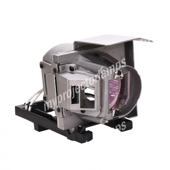 Optoma SP.8RU01GC01 Projector Lamp With Module - USA