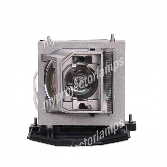 Acer MC.JG811.005 Projector Lamp with Module