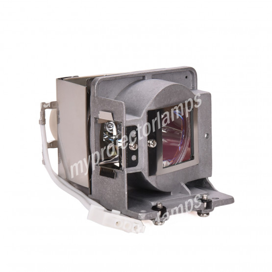 Viewsonic RLC-080 Projector Lamp with Module