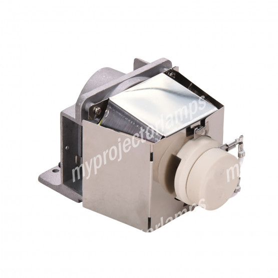 Viewsonic RLC-080 Projector Lamp with Module