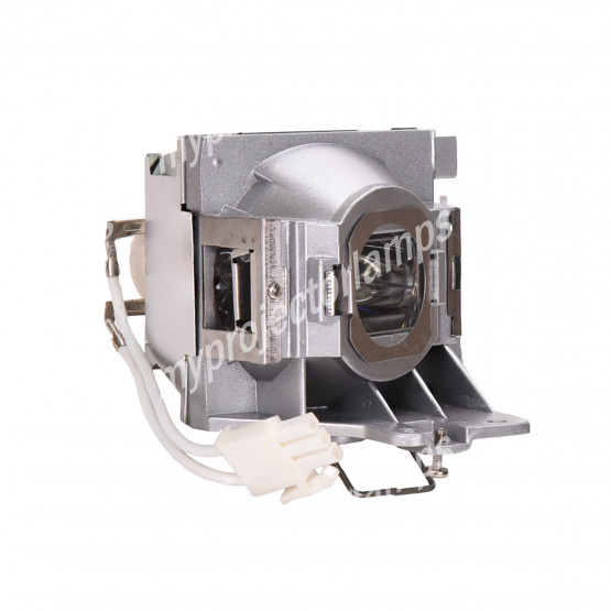 Viewsonic PJD5255 Projector Lamp with Module