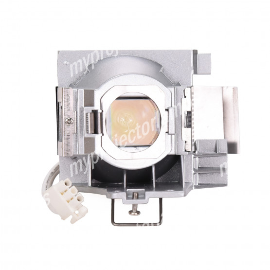 Viewsonic PJD5255 Projector Lamp with Module