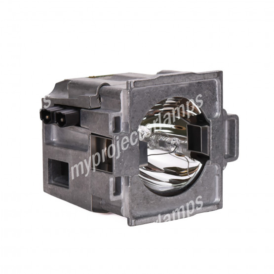 Everest EX-27020 (Lampe Simple) Lampe de Projecteur Nue