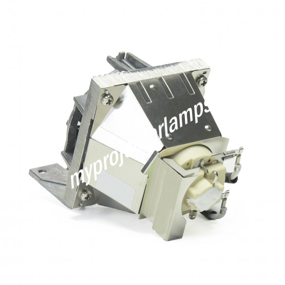 Acer UC.JTA11.00 Projector Lamp with Module