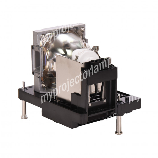 Eiki AH-D31010 Projector Lamp with Module