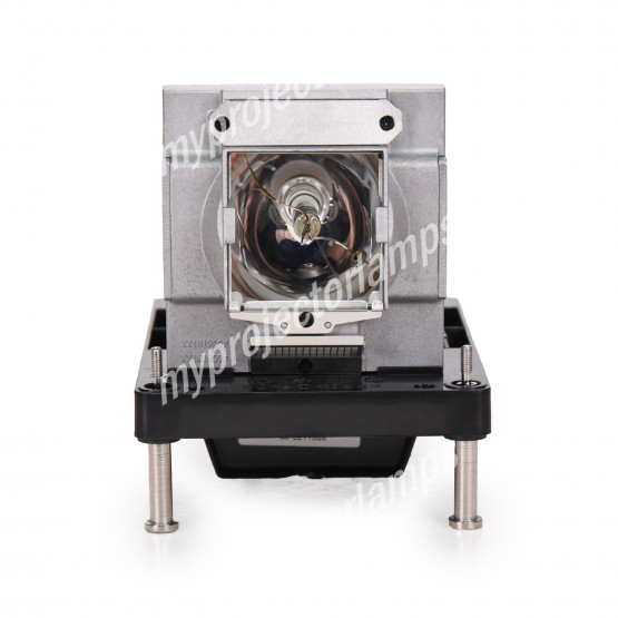 Eiki AH-D31010 Projector Lamp with Module