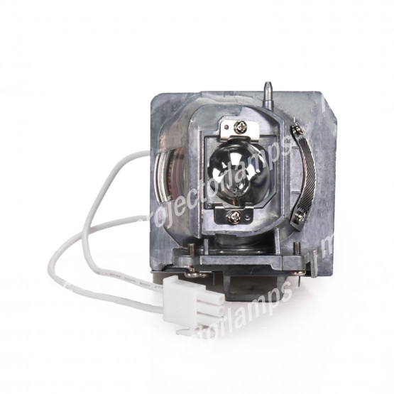 Optoma SP.7KRJ1GR01 Projectorlamp met Module