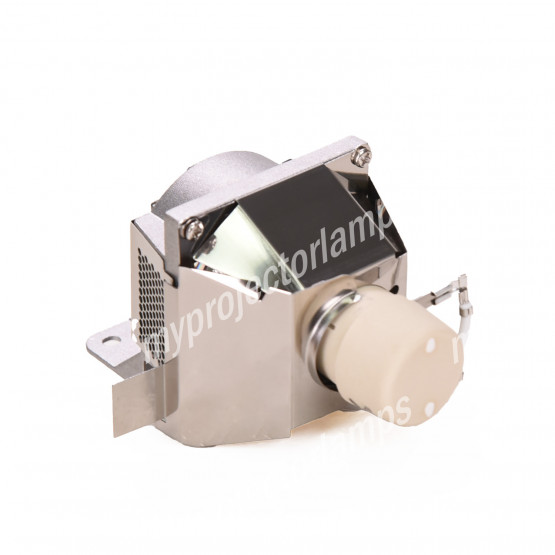Benq 5J.JKG05.001 Projector Lamp with Module