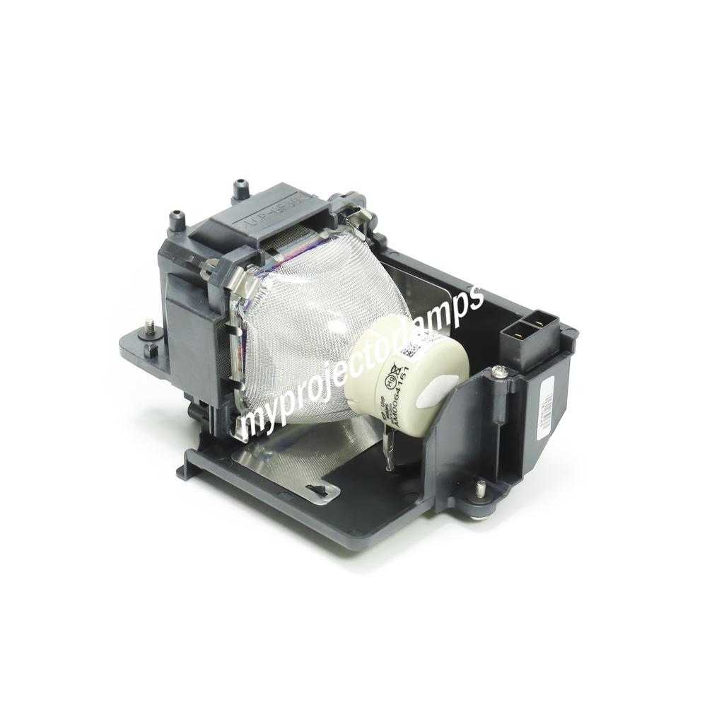 Ampoule De Rechange NP16LP Pour Projecteurs NEC M260WS M350X M311W - Avec Boîtier - Durée De Vie 2000/3000h