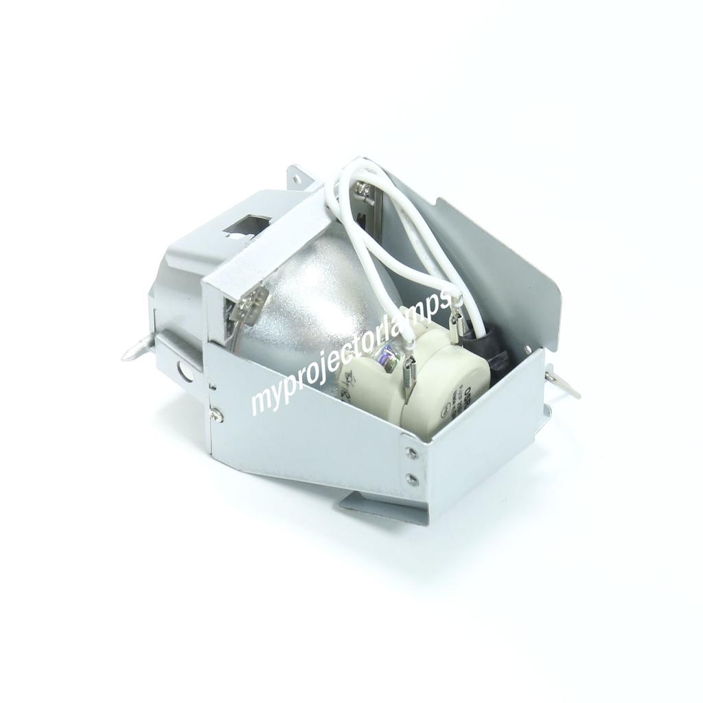 Optoma VDHDNL Projector Lamp with Module MyProjectorLamps USA