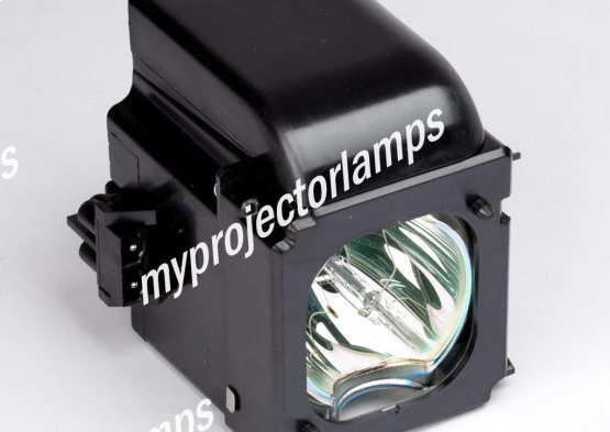 Samsung HLT4675SX/XAA RPTV Projector Lamp with Module