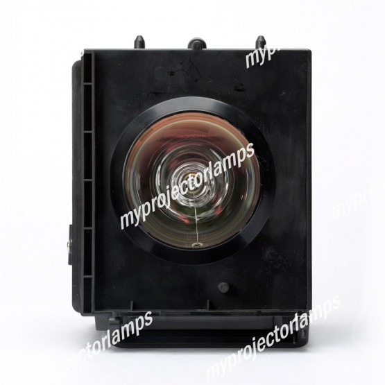 Samsung HLP4663W RPTV Projector Lamp with Module