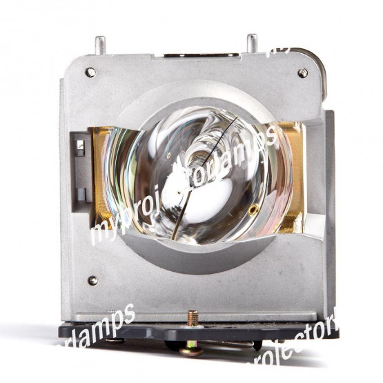 Samsung SP-D400 Projector Lamp with Module