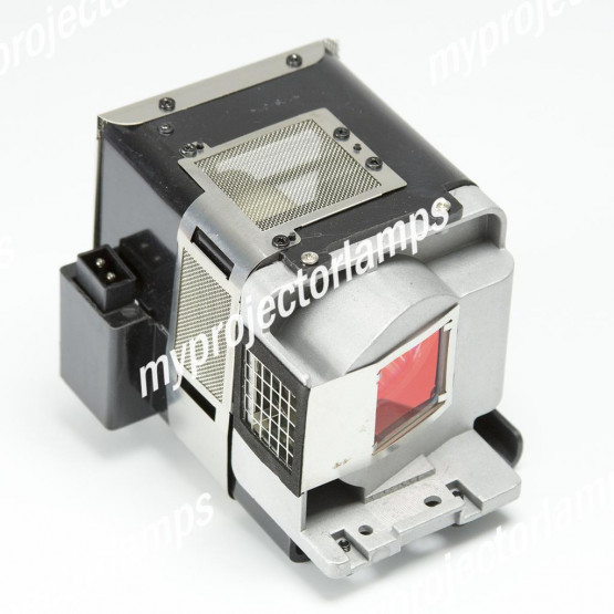 Viewsonic PRO8200 Projector Lamp with Module