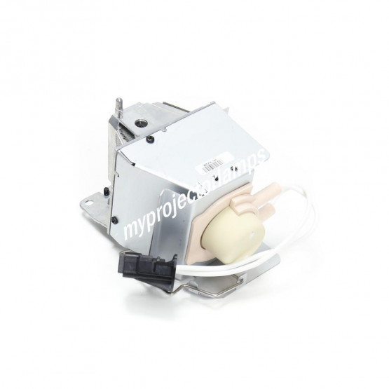 Optoma BL-FU260C Projector Lamp with Module